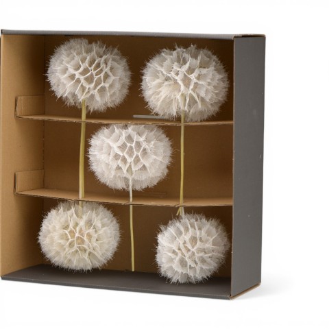 STELO DENTE DI LEONE L.35 D1113 2